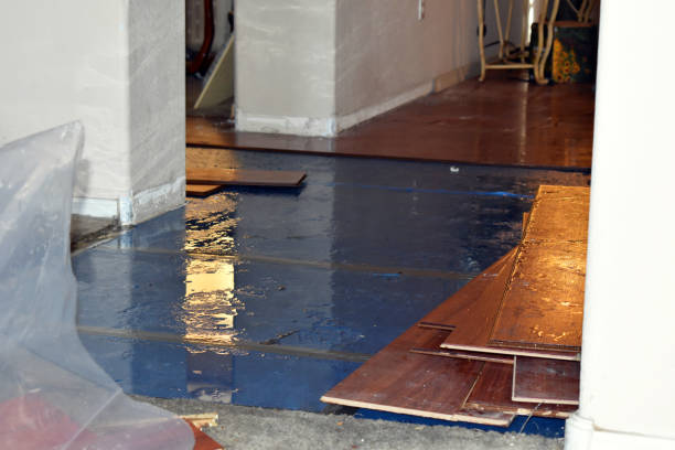 Professional Burst Pipe Cleanup technician working in Bailey, MI