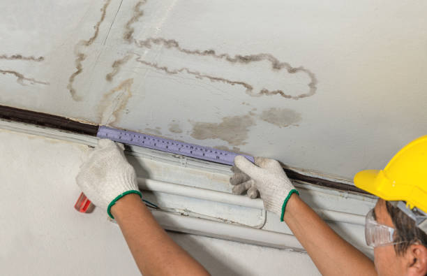 Reliable Burst Pipe Cleanup contractor in Bailey, MI by Water Damage Irwin